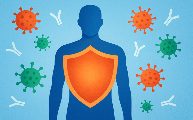 تقویت سیستم ایمنی بدن بزرگسالان